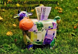 crowdfunding regorge d'opportunités